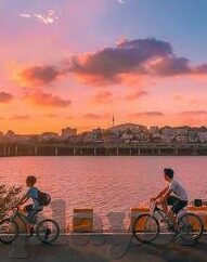 埃及进世界杯历程-埃及足球，通往世界杯的奇迹之旅